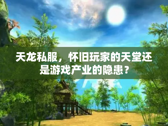 天龙私服，怀旧玩家的天堂还是游戏产业的隐患？