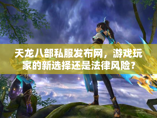 天龙八部私服发布网，游戏玩家的新选择还是法律风险？