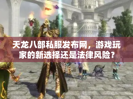 天龙八部私服发布网，游戏玩家的新选择还是法律风险？