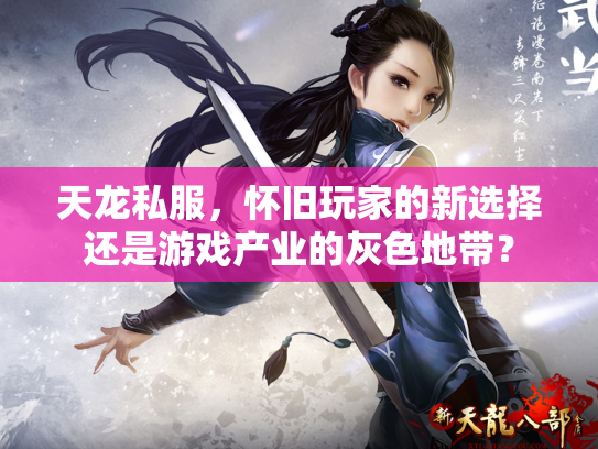天龙私服，怀旧玩家的新选择还是游戏产业的灰色地带？