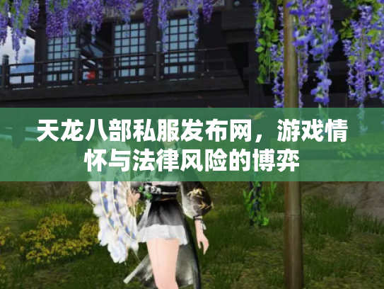 天龙八部私服发布网，游戏情怀与法律风险的博弈