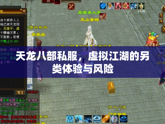 天龙八部私服，虚拟江湖的另类体验与风险