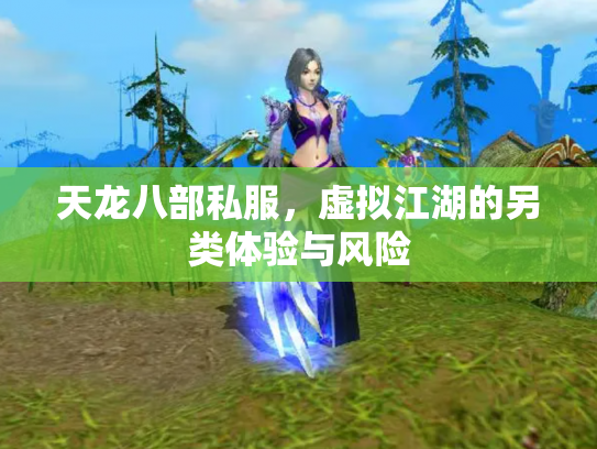 天龙八部私服，虚拟江湖的另类体验与风险