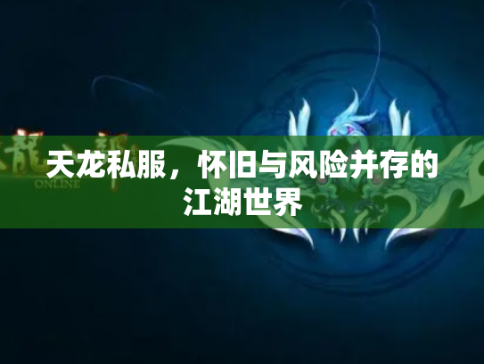 天龙私服，怀旧与风险并存的江湖世界