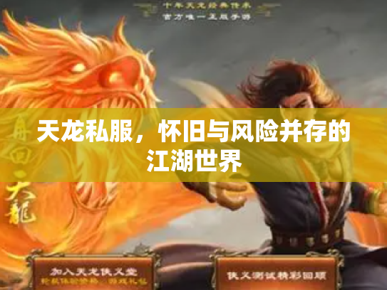 天龙私服，怀旧与风险并存的江湖世界