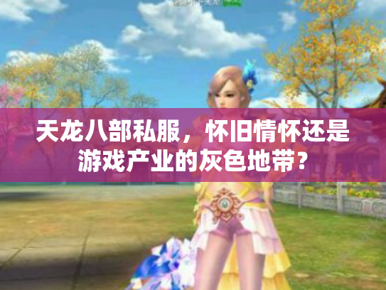 天龙八部私服，怀旧情怀还是游戏产业的灰色地带？