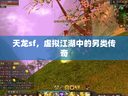 天龙sf，虚拟江湖中的另类传奇