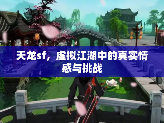 天龙sf，虚拟江湖中的真实情感与挑战