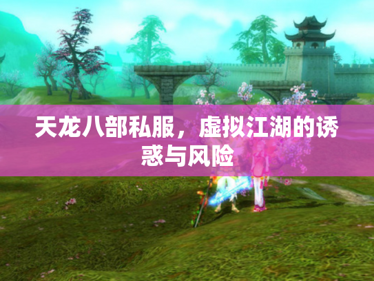 天龙八部私服，虚拟江湖的诱惑与风险