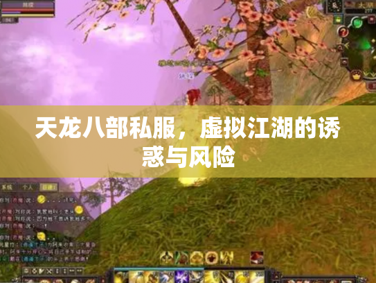 天龙八部私服，虚拟江湖的诱惑与风险