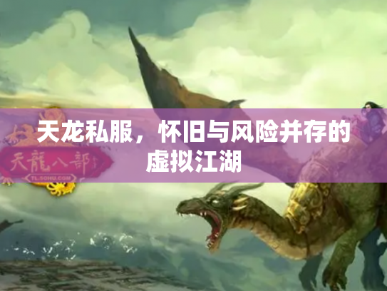 天龙私服，怀旧与风险并存的虚拟江湖
