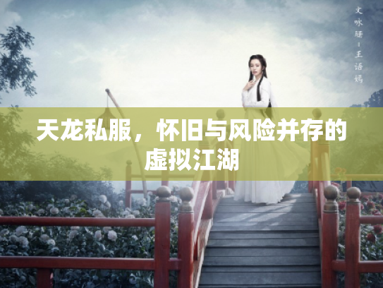 天龙私服，怀旧与风险并存的虚拟江湖