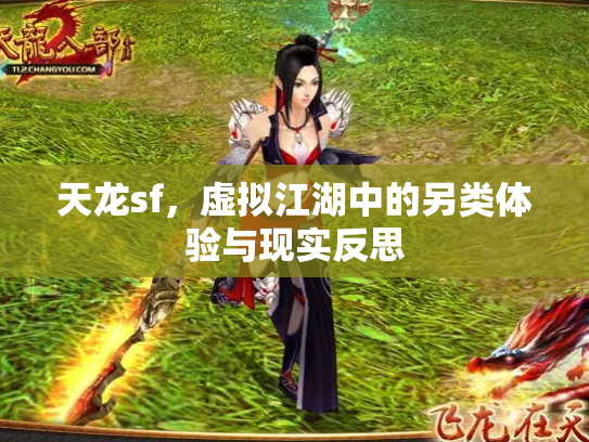 天龙sf，虚拟江湖中的另类体验与现实反思