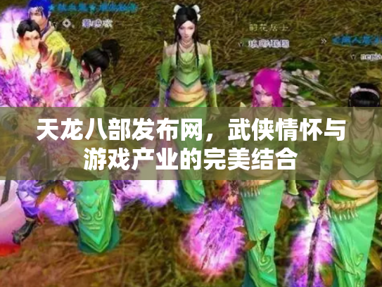 天龙八部发布网，武侠情怀与游戏产业的完美结合