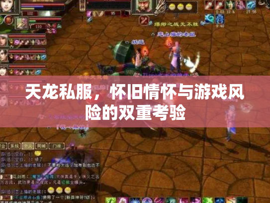 天龙私服，怀旧情怀与游戏风险的双重考验