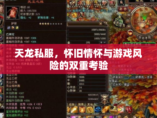 天龙私服，怀旧情怀与游戏风险的双重考验