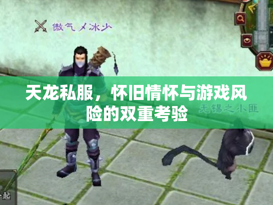 天龙私服，怀旧情怀与游戏风险的双重考验