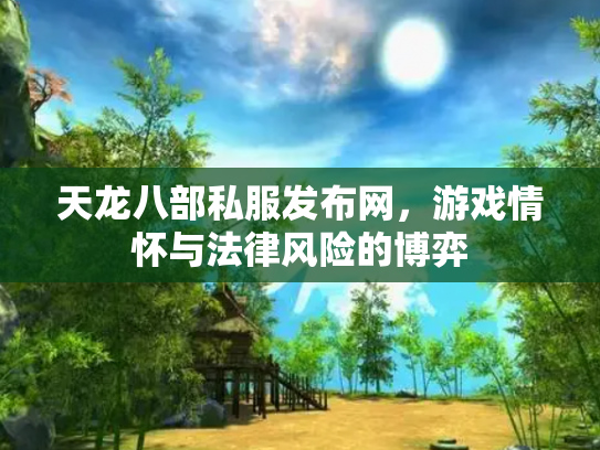 天龙八部私服发布网，游戏情怀与法律风险的博弈