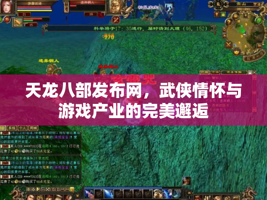 天龙八部发布网，武侠情怀与游戏产业的完美邂逅
