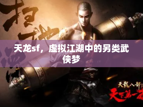 天龙sf，虚拟江湖中的另类武侠梦