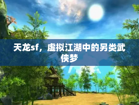 天龙sf，虚拟江湖中的另类武侠梦