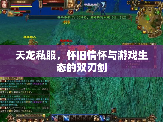 天龙私服，怀旧情怀与游戏生态的双刃剑