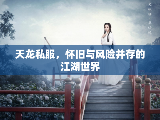 天龙私服，怀旧与风险并存的江湖世界
