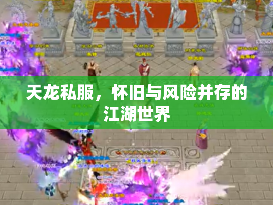 天龙私服，怀旧与风险并存的江湖世界