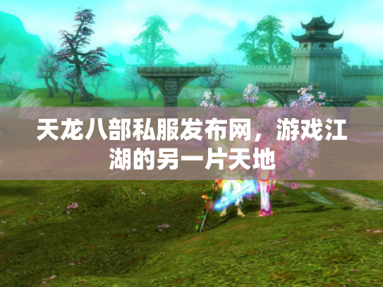 天龙八部私服发布网，游戏江湖的另一片天地