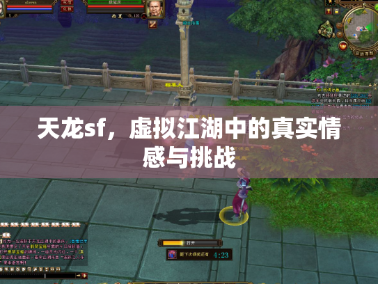 天龙sf，虚拟江湖中的真实情感与挑战