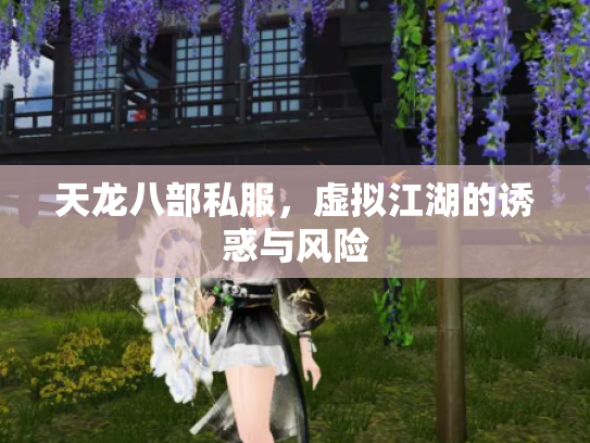 天龙八部私服，虚拟江湖的诱惑与风险