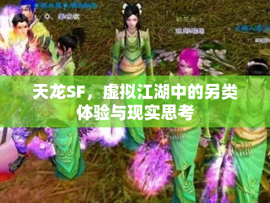 天龙SF，虚拟江湖中的另类体验与现实思考