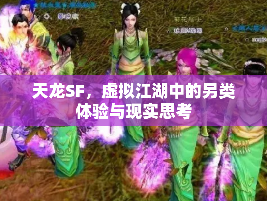 天龙SF，虚拟江湖中的另类体验与现实思考