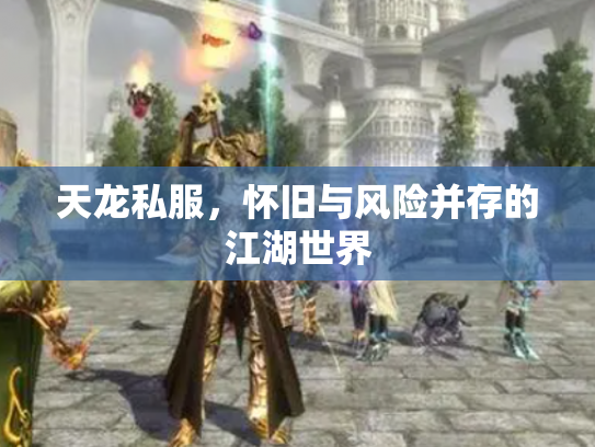 天龙私服，怀旧与风险并存的江湖世界