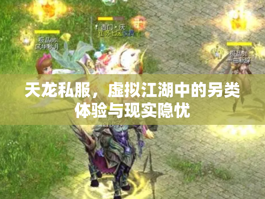天龙私服，虚拟江湖中的另类体验与现实隐忧