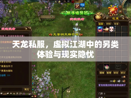 天龙私服，虚拟江湖中的另类体验与现实隐忧