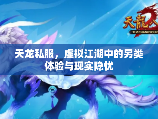 天龙私服，虚拟江湖中的另类体验与现实隐忧