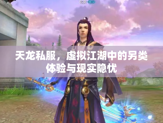 天龙私服，虚拟江湖中的另类体验与现实隐忧