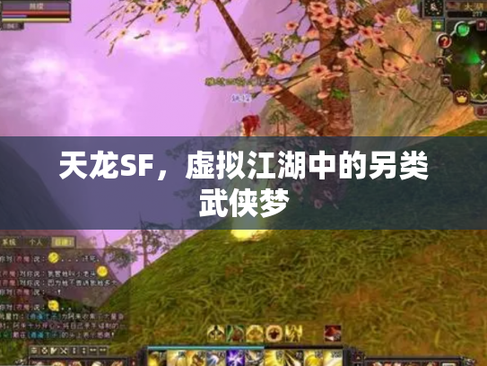 天龙SF，虚拟江湖中的另类武侠梦