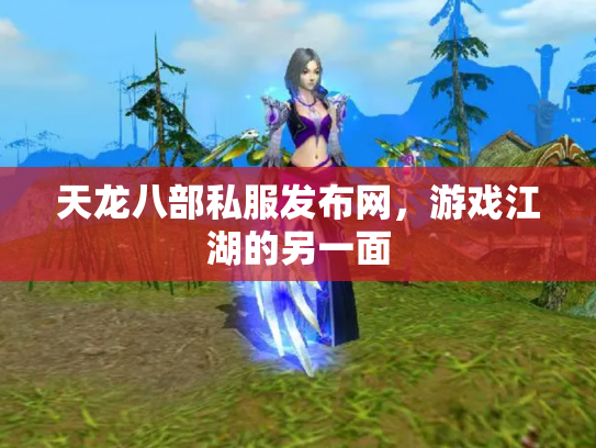 天龙八部私服发布网，游戏江湖的另一面