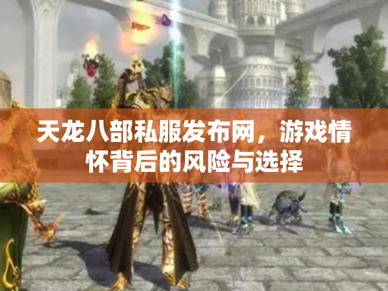 天龙八部私服发布网，游戏情怀背后的风险与选择