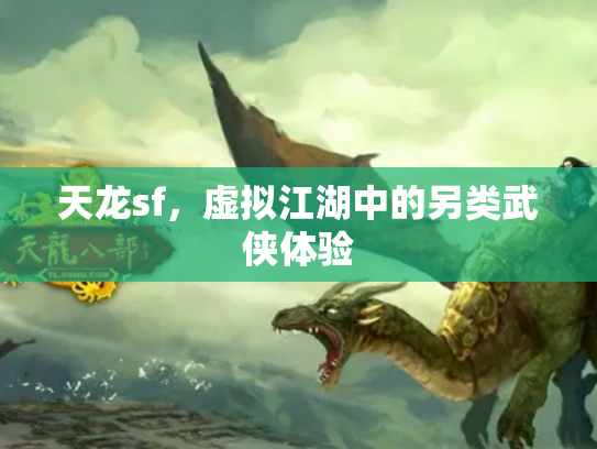 天龙sf，虚拟江湖中的另类武侠体验