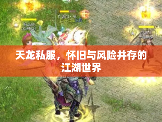 天龙私服，怀旧与风险并存的江湖世界