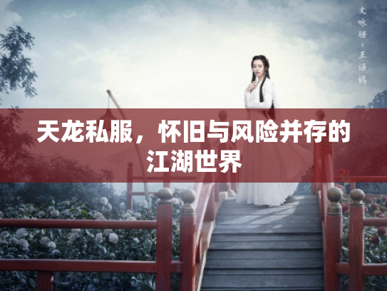 天龙私服，怀旧与风险并存的江湖世界