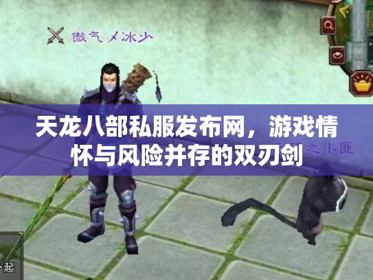 天龙八部私服发布网，游戏情怀与风险并存的双刃剑