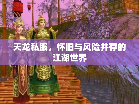 天龙私服，怀旧与风险并存的江湖世界