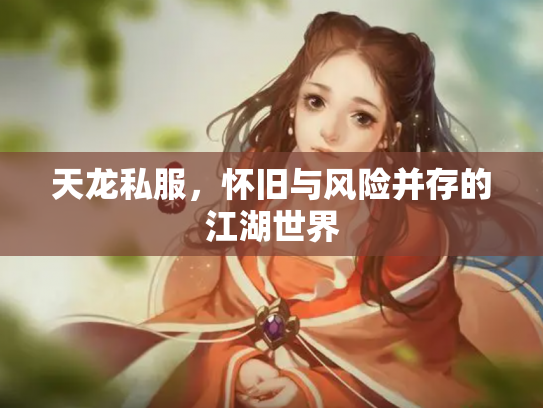 天龙私服，怀旧与风险并存的江湖世界