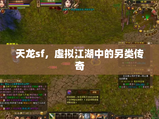 天龙sf，虚拟江湖中的另类传奇