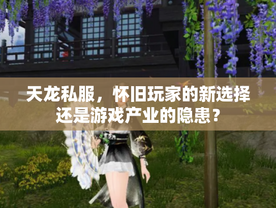 天龙私服，怀旧玩家的新选择还是游戏产业的隐患？