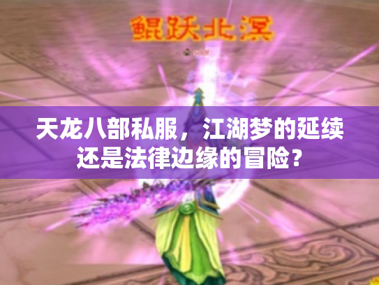 天龙八部私服，江湖梦的延续还是法律边缘的冒险？